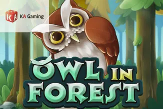 Owl In Forest